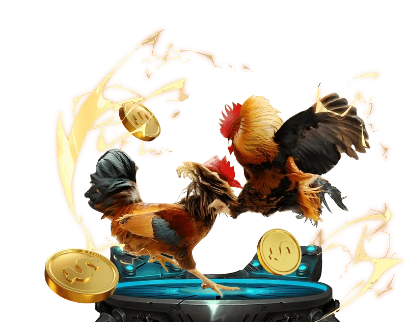 Nền tảng đá gà 388 an toàn